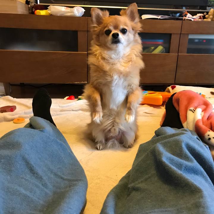 Dc02bcf8 8a17 45a7 94ed 1fd29b5879a6 1516602601726