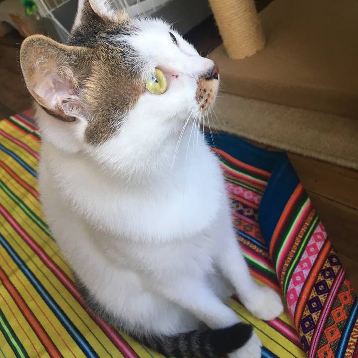 Dc02c294 84d1 45e9 aefe f7c837e06cd9 1538892427311