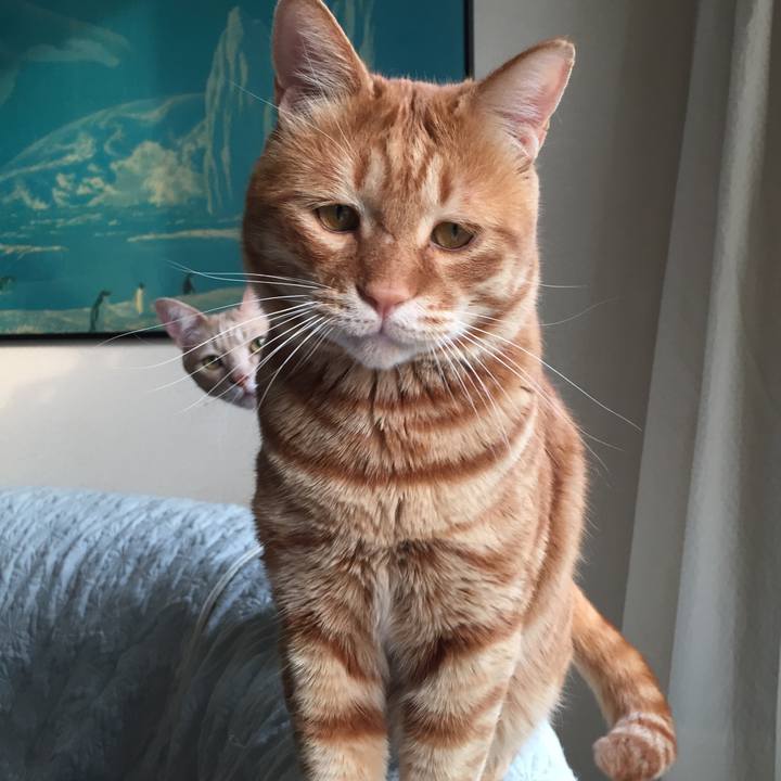 Dc02c732 a668 403f 905f 42f911bd52b1 1587218498417