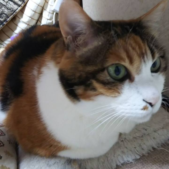 Dc02d536 8c08 4461 bbb3 4665877cc6c4 1573595902433