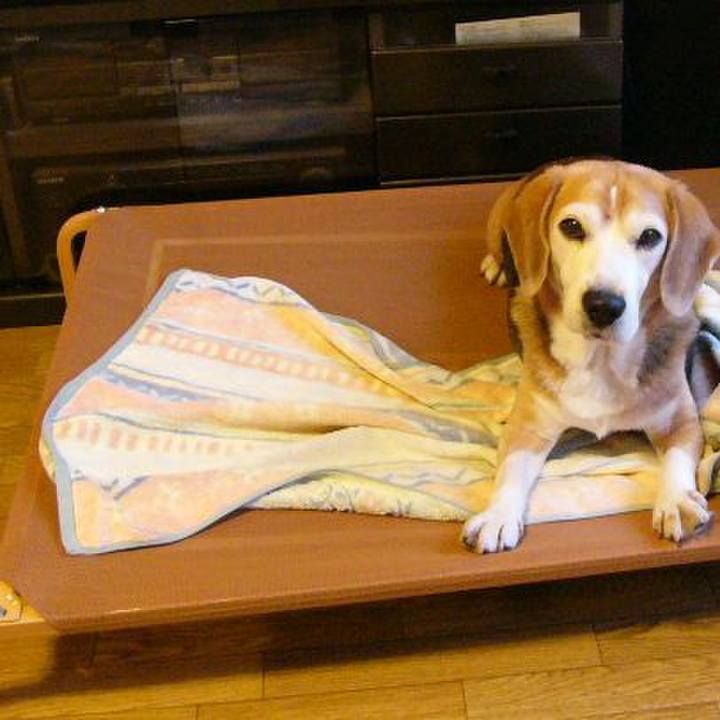 Dc02d790 bf7c 4125 be62 f3c37eb13201 1646358476472