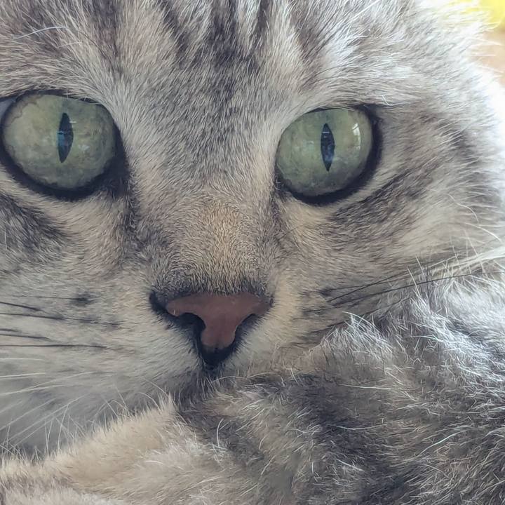 Dc030dfe 3f6f 430d 9537 ff363c0cfb7b 1744303661947