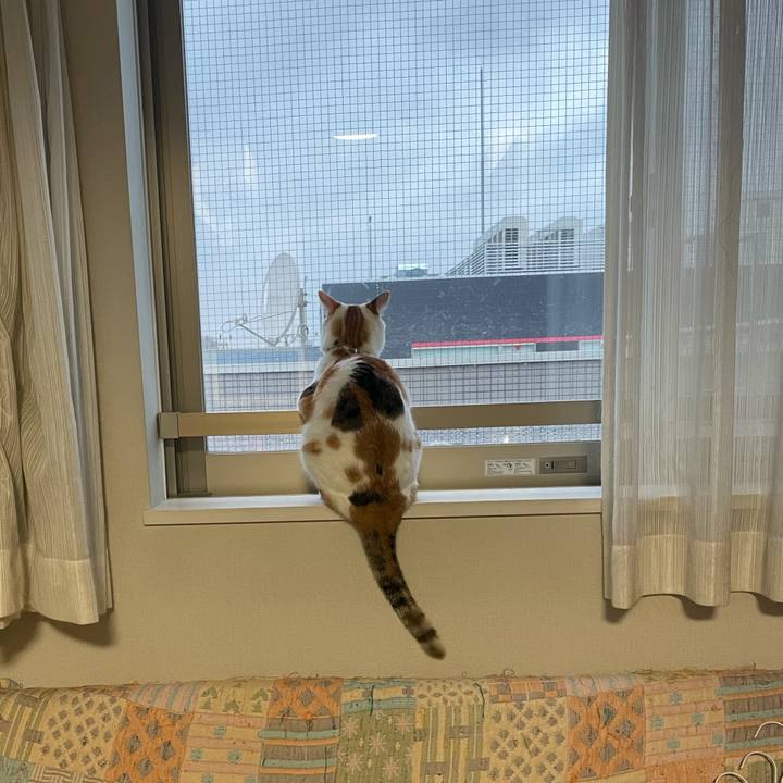 Dc030f4c ef8e 4d13 8272 e4d40d9406ed 1632281807996