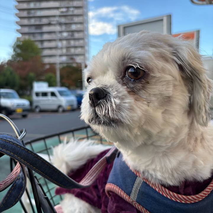 Dc032e26 fc6b 4328 8ea8 b87048ca978a 1762293003657