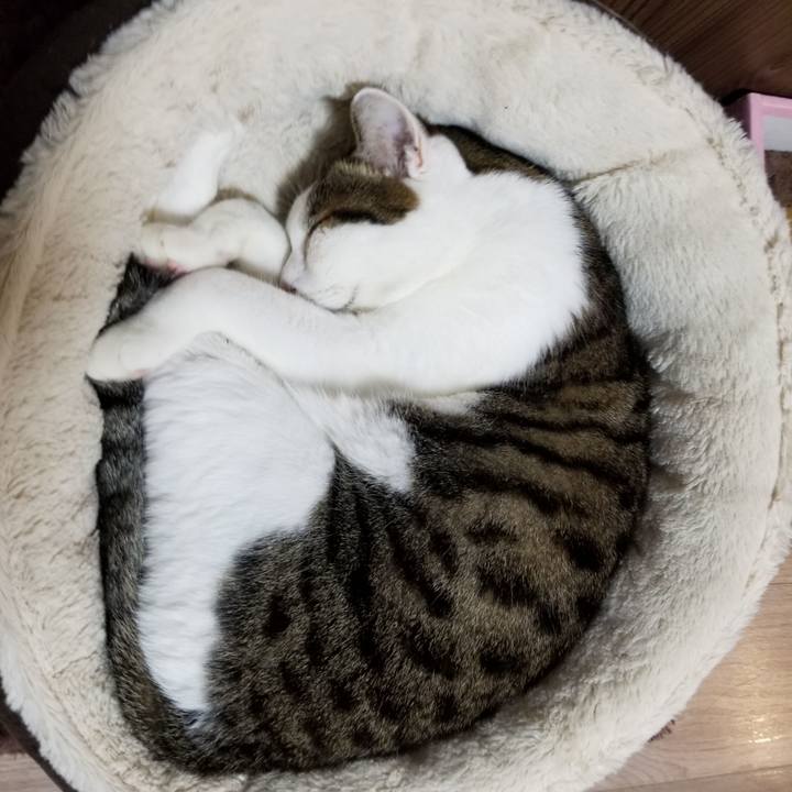 Dc035f97 71c0 4373 a01c 7f29f9959e78 1605043173032