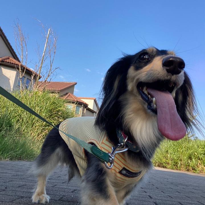 Dc037617 511e 408a 972d 494d0c3157f2 1755743762176