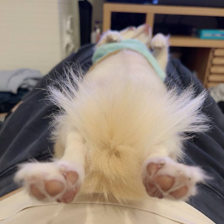 Dc0389cf 436a 4d18 a8a4 c9c70bc4fe60 1728734525802