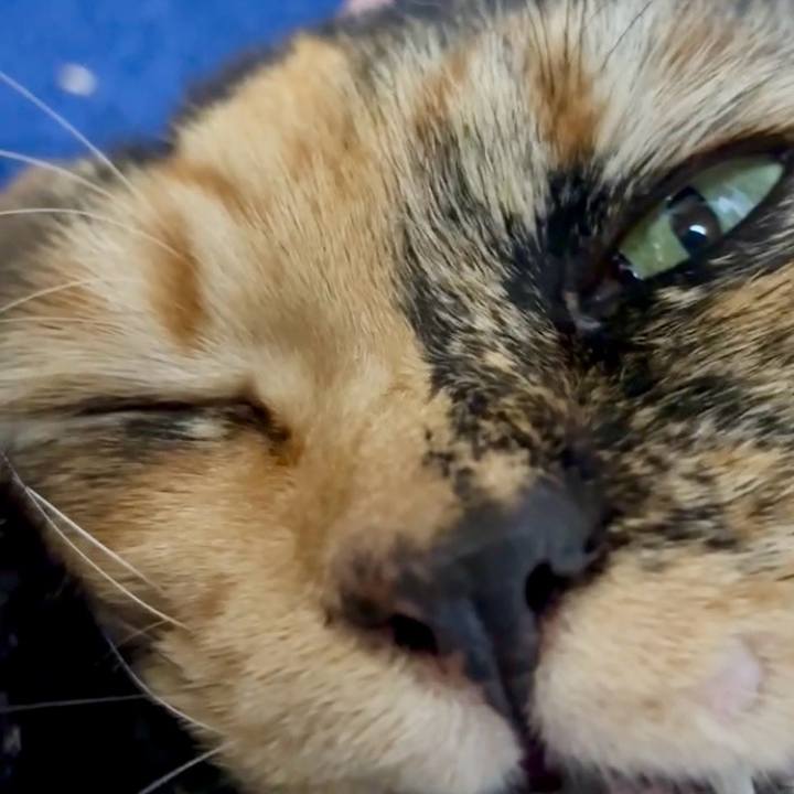 Dc038a25 6834 4821 afa9 c692df5ac585 1771101535227