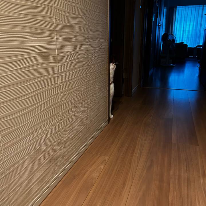 Dc039ef5 e330 4e57 b087 b2d29306e790 1757284851409