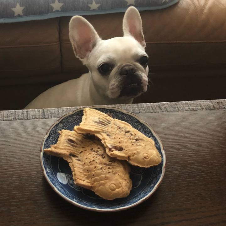 Dc03b66e 8f8b 494e 912e 7ea5c74152a9 1536483949577