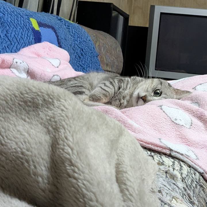 Dc03e99f fe6c 40f7 8cc2 c3671c51f098 1750608926039