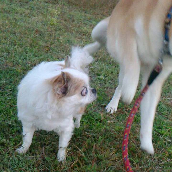 Dc03f2ea 65a2 4745 8220 61b1e2b73fcb 1542252215083