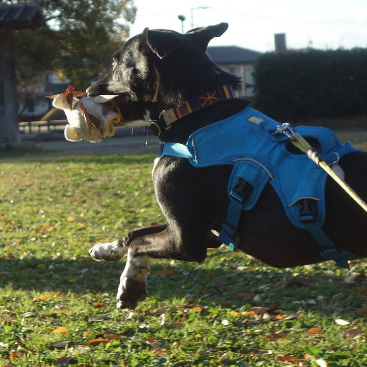 Dc03f768 3986 493b 8019 ad4baccbe991 1605918632094