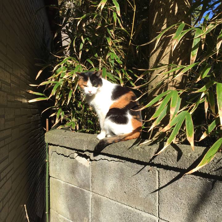 Dc03ff9d f3e5 4ade ba24 7494166f84da 1543149764695