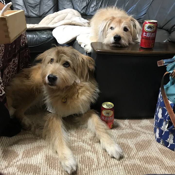 Dc040821 8815 48a7 9809 164127efebc7 1577893300651