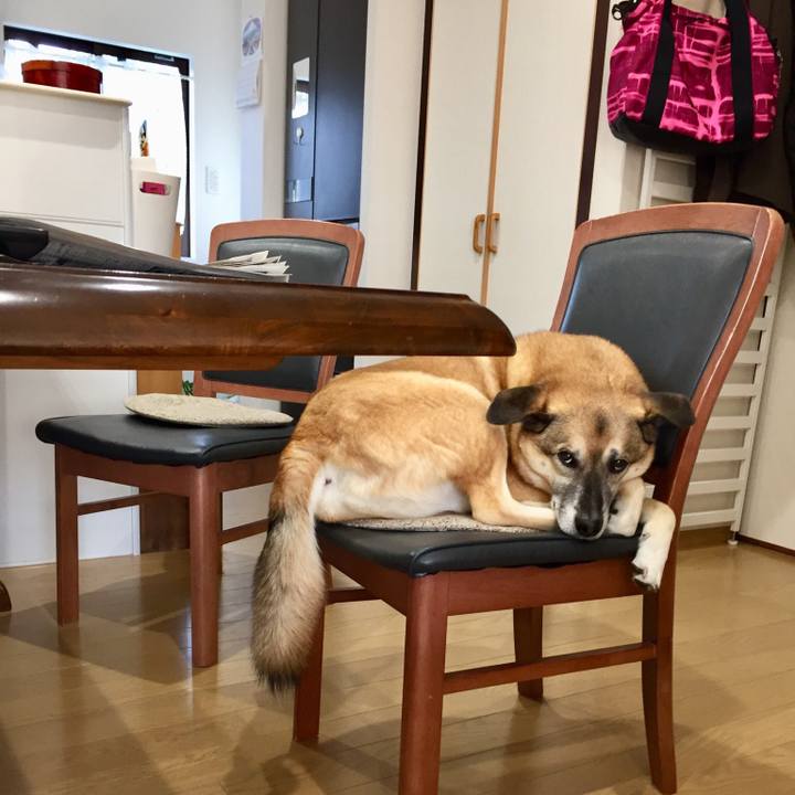 Dc043f5c da2b 4ddc 842a 056956431e67 1519256548423