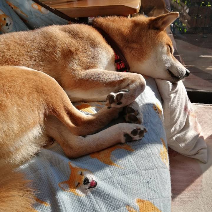 Dc0441d9 6f9f 4317 9b85 e7f2e087fd4b 1642311064758