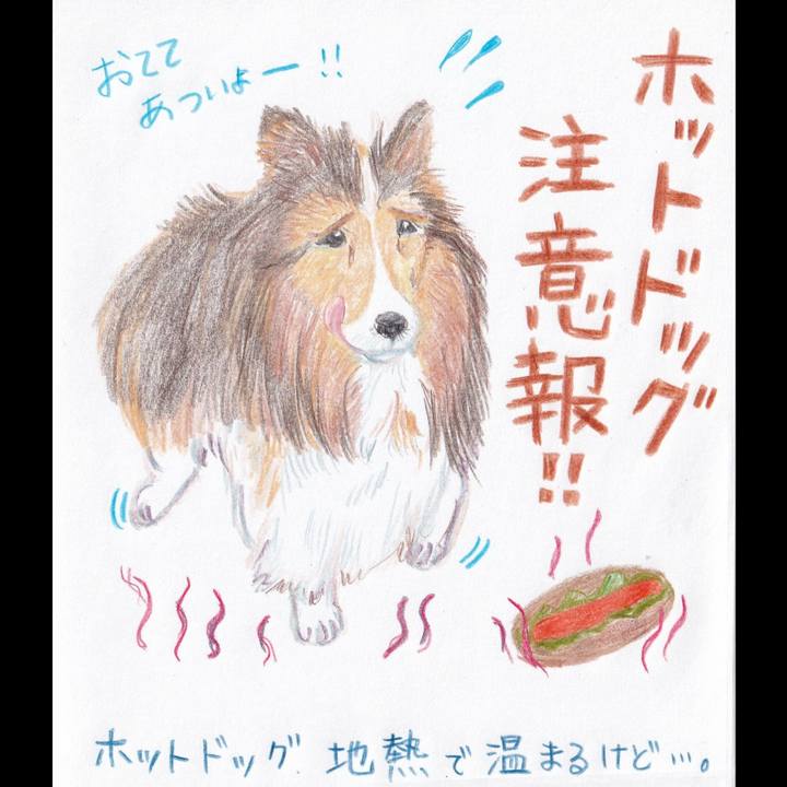 Dc044352 d32c 495d a776 4fef385690b9 1656714647335