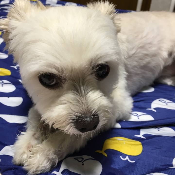 Dc044e4a 3f0a 414f 9279 c47e19b32884 1565353580092