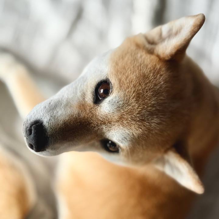 Dc045e72 af0c 4dbe 9e8c 8b0de86a39ed 1762475195516