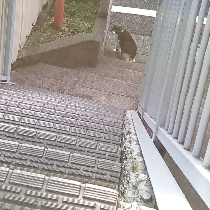 Dc048eb0 31b9 4807 a070 5747468730fb 1600384524790