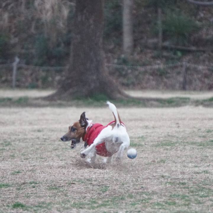 Dc04c2b9 63c1 4350 b5d4 602799cedce0 1550530703039