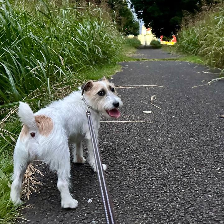 Dc04f124 8436 4e42 94a8 9bd9dc3a6749 1729610533239