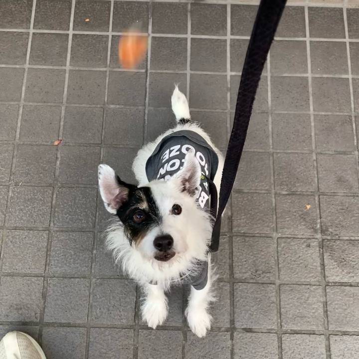 Dc051264 3db1 43af 970e ddea2a8d9f56 1729498598799