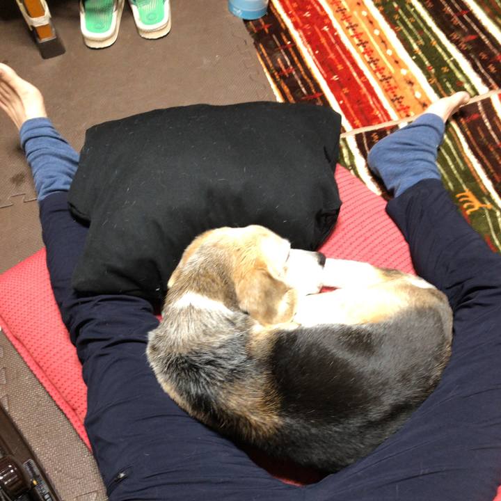 Dc052d6c 2e08 4601 8b08 9334a4062238 1607946494246