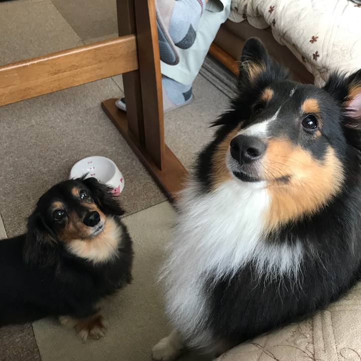 Dc055fdb 748a 4df1 9f22 51cdace89aa6 1530569292646