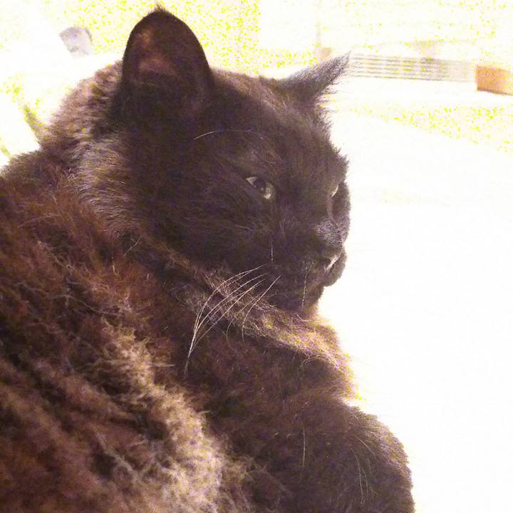 Dc059da1 91f8 410a b6ac 9967ea4eb4fc 1519808033584