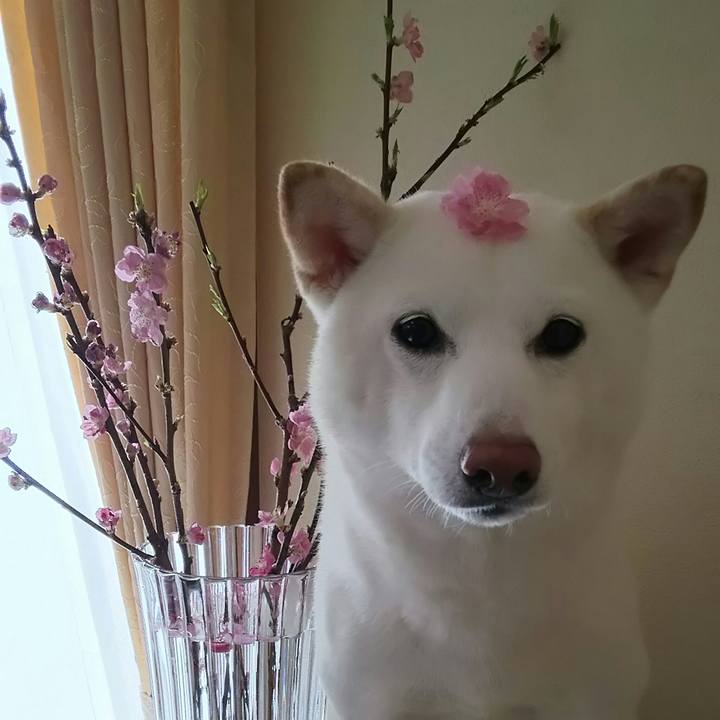 Dc05b945 fade 4b21 969a 1e659c9b8e18 1520395489932