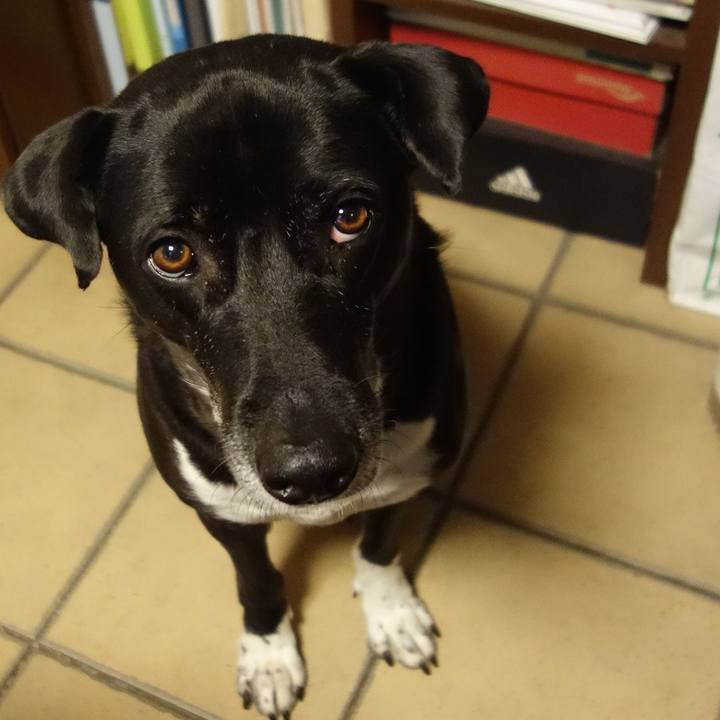 Dc05d63d 94e7 4fa2 9aad f85a15f2f72b 1671275553036