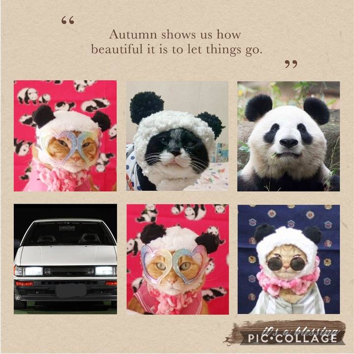 Dc05ea6e 51bf 45be 99a5 eef610ea77a0 1604376059362