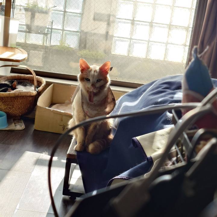 Dc05f262 7979 4c36 97af 2418c71acf19 1763368246739