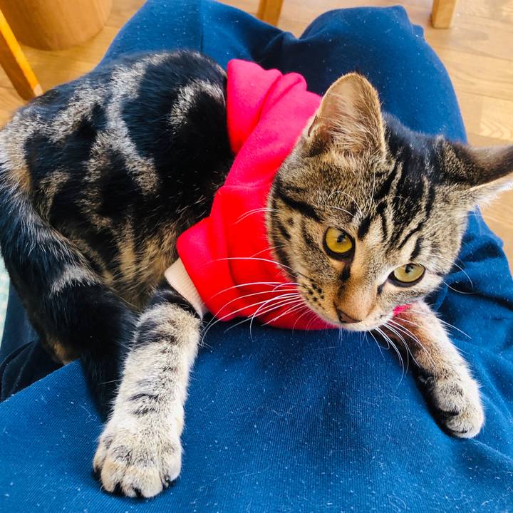 Dc0604f9 e51f 43b7 bde5 affe6e292a5b 1737773960275