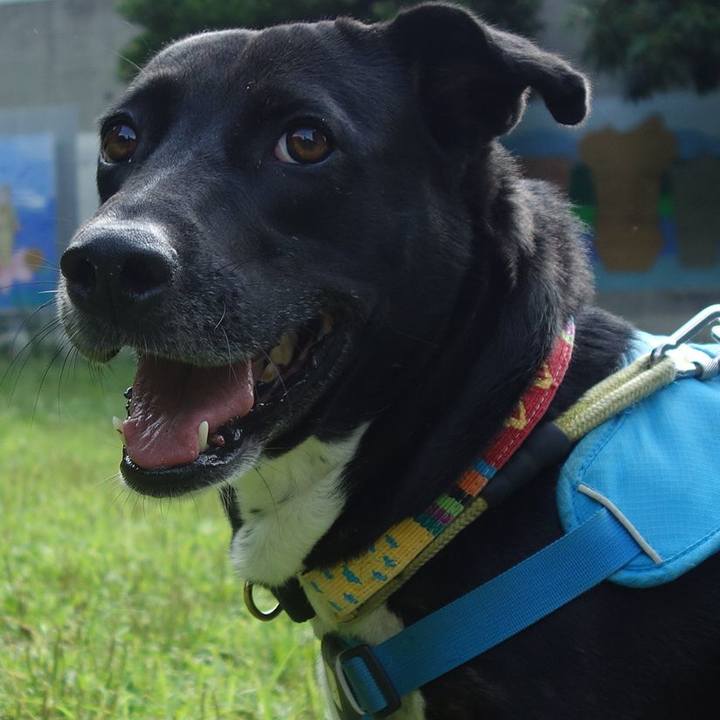 Dc063993 ef6b 4816 bf4f 17011d175709 1622678160353