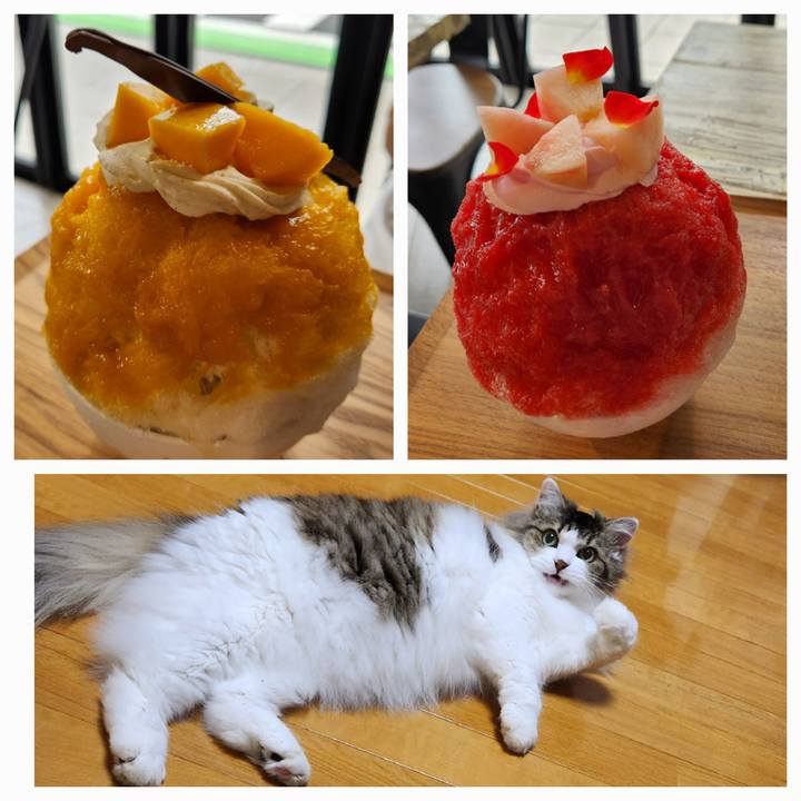 Dc0678f8 8a0e 4037 aae8 a20b1e0e950c 1752575915613