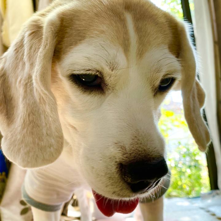 Dc067eb8 ac54 4d1a 9ffc 69b25bc818f1 1633496035792