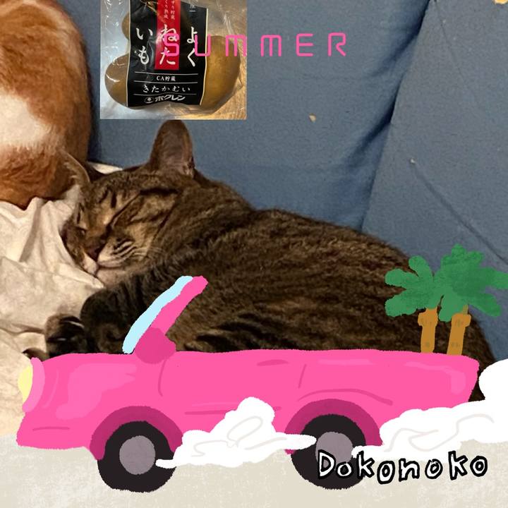 Dc06f9ce 6c26 4a49 9ae4 6bd84d4a3cfd 1783430984521