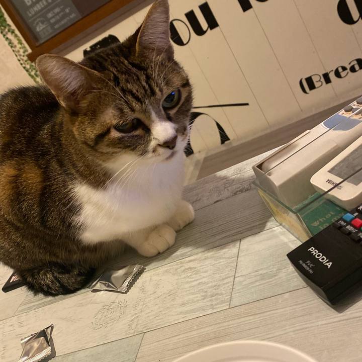 Dc070971 a329 45eb 842d 08fdc5126044 1635635049091