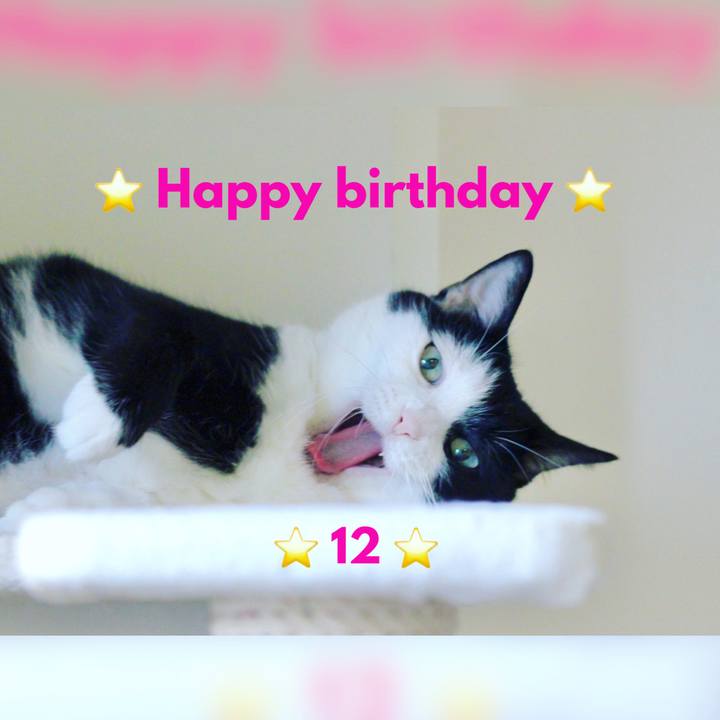 Dc074e1a d0e3 48cb 9484 5d47bf13dcf5 1687906801831