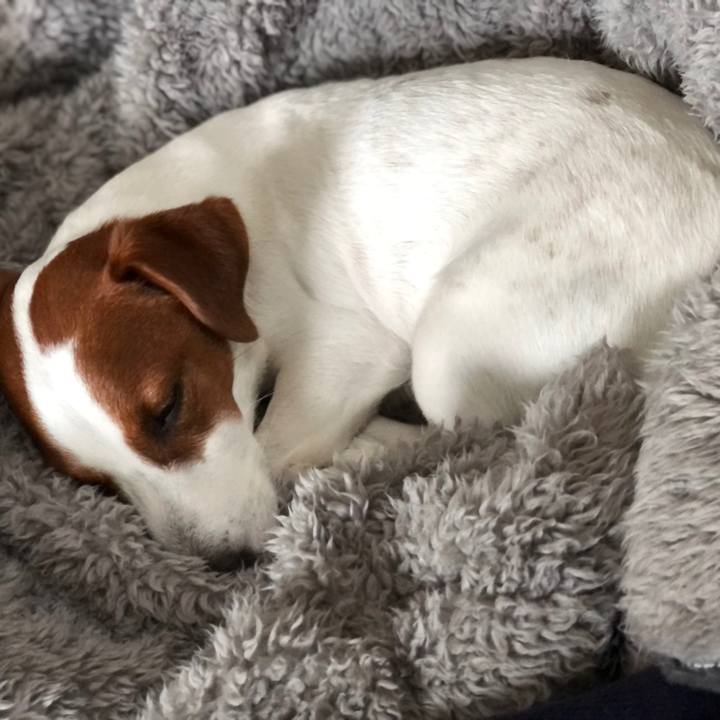 Dc07897c c4aa 43b2 83d8 49225c3449ae 1621154191886