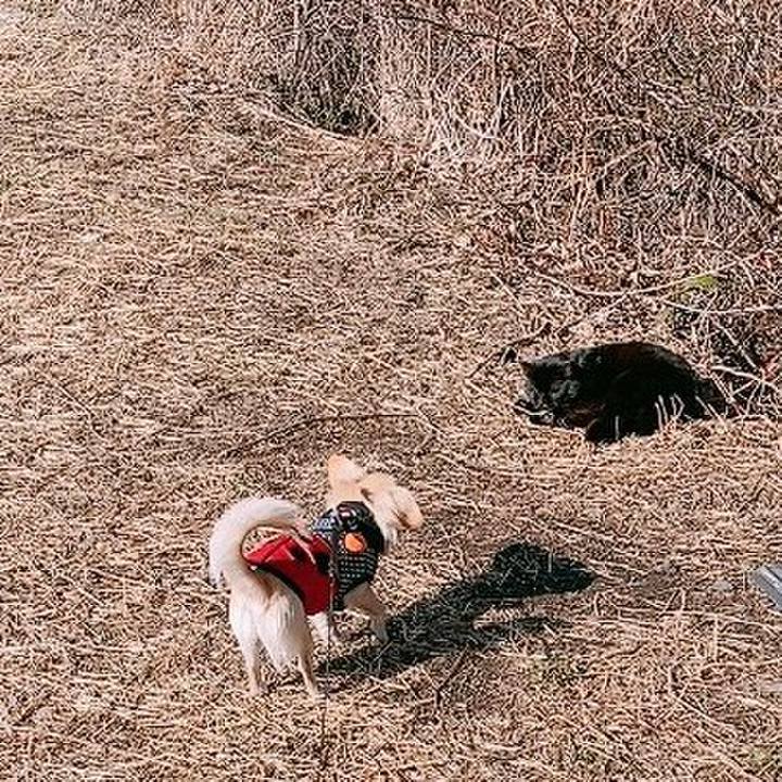 Dc07a5db 4875 46ac 9af8 14494f504ce7 1611914065698