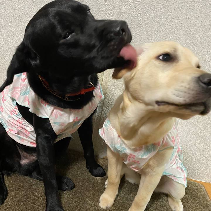 Dc07a637 4904 42c3 a774 94686a3879a8 1620367418817