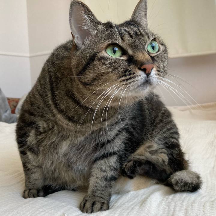 Dc07a994 1e7a 4e58 ad84 25edfd270276 1767407915709