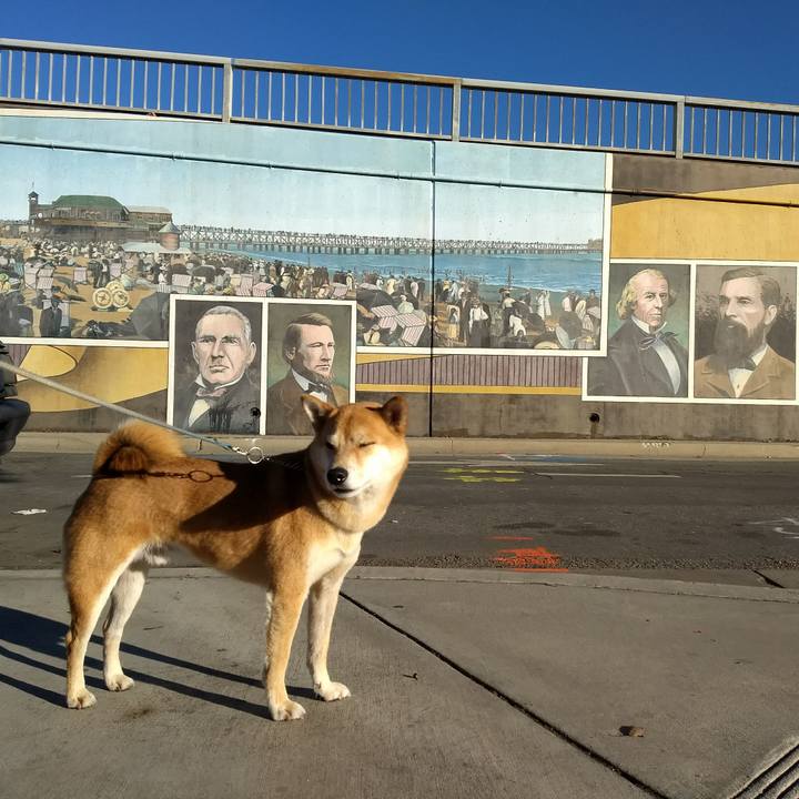 Dc084fd4 3894 42cb b09b 1c1e5e7554d2 1511543795863