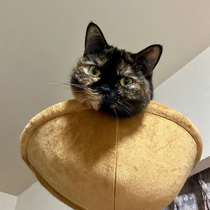 Dc089a5d f7b3 4dfe 9dcc b0c9ed6e029b 1763125890134