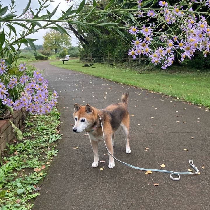 Dc08aaff 331e 46d4 930c 9e0e9c07e8db 1759639792770