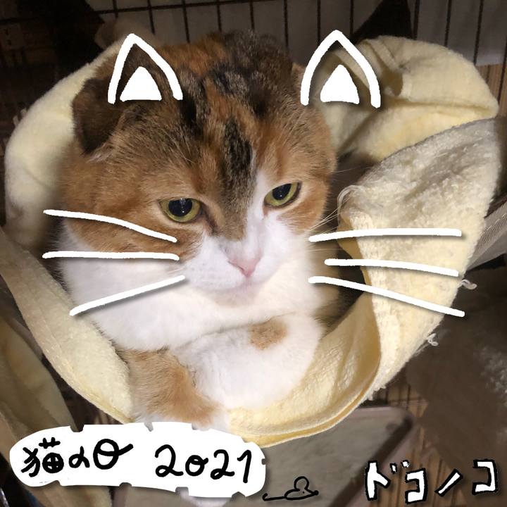 Dc08ad33 0b10 4841 adde 7274222c5cde 1613966493010